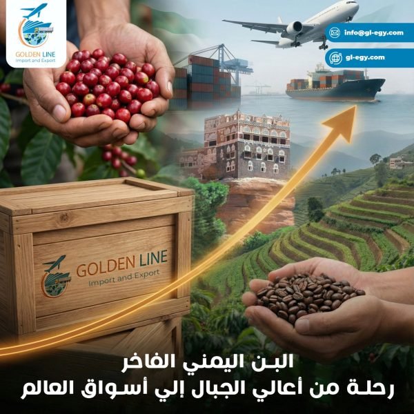 WhatsApp Image 2026-01-22 at 18.05.53